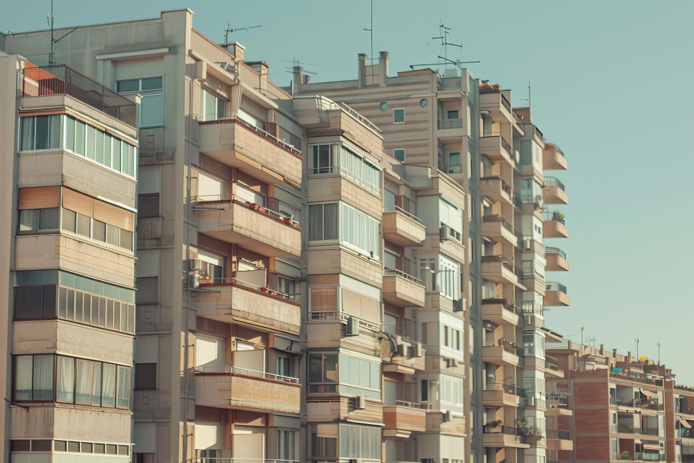 Plagas Comunes en Tarragona y Cómo Combatirlas